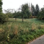 Dorfentwicklung - AG Streuobstwiese Schröders Garten